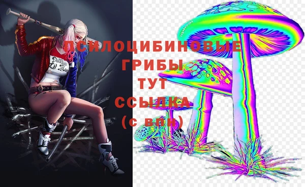 apvp Козловка